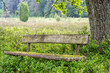 © Alexander - old wooden bench in the hillside landscape in the nature preservation area of the lueneburger heide
