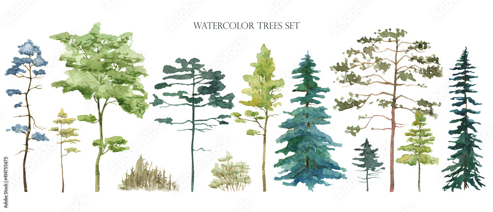 Watercolor tree set. Green pine, blue spruce, lush ash, beige bush - obrazy, fototapety, plakaty 