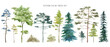 Leinwandbild Motiv Watercolor tree set. Green pine, blue spruce, lush ash, beige bush
