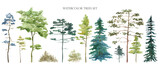 Fototapeta Dinusie - Watercolor tree set. Green pine, blue spruce, lush ash, beige bush