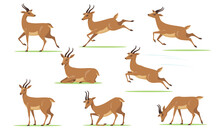 Cartoon Gazelle Set. African Antelope Walking, Eating, Running, Jumping, Resting On Lawn In Different Poses Isolated On White. Vector Illustration For Horny Animal, Wildlife, Fauna Concept