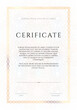 Winner luxury certificate, vertikal template design, blank diploma with guilloches