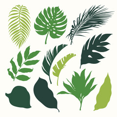 Wall Mural - Set of tropical plants leaves. Botanical vector silhouettes. Coconut palm, monstera, banana tree.