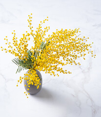 Wall Mural - a bouquet of yellow mimosa flowers stands in a ceramic  vase on a marble background. concept of 8 March, happy women's day