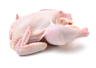 Poster - raw hen on a white background