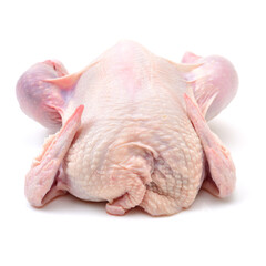 Poster - raw hen on a white background