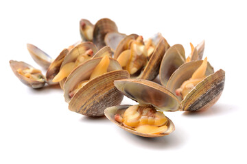 Wall Mural - Stacked fresh raw clams on white background