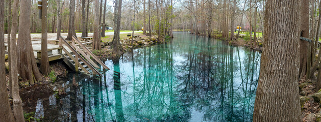 Wall Mural - Little Devil's Spring on the Santa Fe River, Gilchrist County, Florida