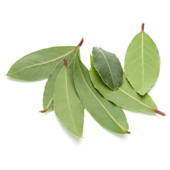 Wall Mural - Aromatic bay leaves