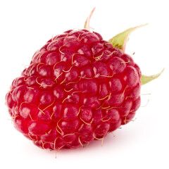 Wall Mural - one ripe raspberry isolated on white background close up