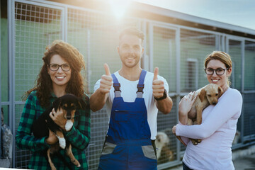 Wall Mural - Young handsome worker helping two young women friends to adopt beautiful dogs.