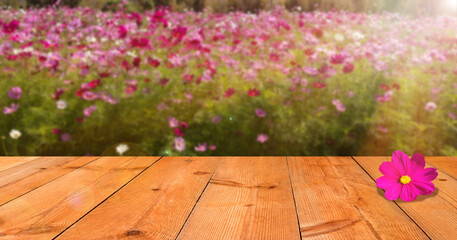 Wall Mural - perspective wooden board over blurred flower garden