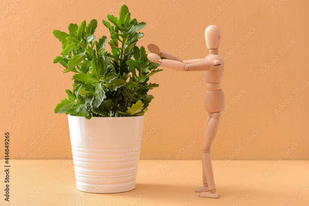 Wooden mannequin with houseplant on color background