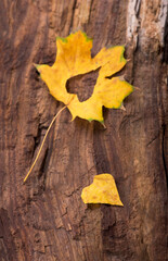 Poster - Autumn leaves heart. Autumn leaves on wood background