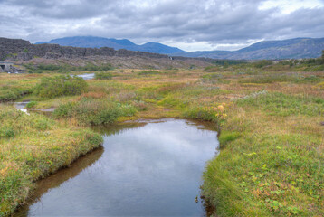 Wall Mural - Oxara river passing through Thingvellir national park in Iceland