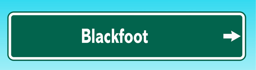 Wall Mural - Blackfoot Road Sign