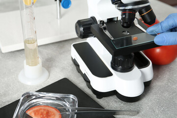 Wall Mural - scientist inspecting tomato with microscope in laboratory, closeup. food quality control