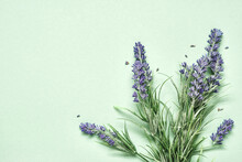 Lavender Bouquet On Mint Green Background. Aromatherapy Treatment And Skincare Spa Cosmetics. Minimal Background Concept