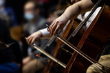 Fototapeta  - Hands of a musician playing cello in an orchestra