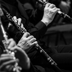 Wall Mural -  Hands of a musician playing the oboe close-up in black and white