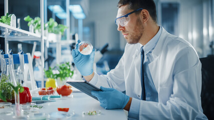 male microbiologist working on tablet computer and examining a lab-grown vegan meat sample. medical 