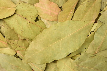 Wall Mural - Aromatic bay leaves  background