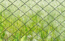 Wild Green Field And Old Mesh Netting