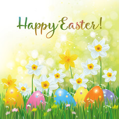 Wall Mural - easter eggs in grass and daffodils, happy easter greeting card. illustration.