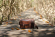 Close-up photo of dark brown leatherette bag placed on a wooden walkway. There are orange leaves around in a soft tone. Blurred backdrop of mangrove trees and bridges. Idea for traveling wallpaper.