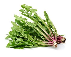 Wall Mural - Dandelion, Dandelion Green, Leaf Vegetable on white background