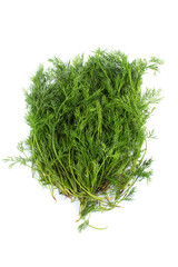 Wall Mural - Fresh green fennel on white background