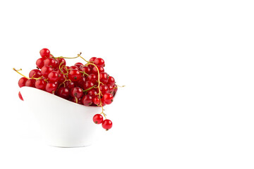 Wall Mural - Red currant on white background 