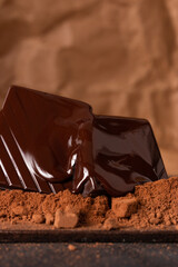 Canvas Print - Closeup shot of a gourmet melted chocolate on a cacao powder