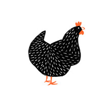 Illustrated Back Hen