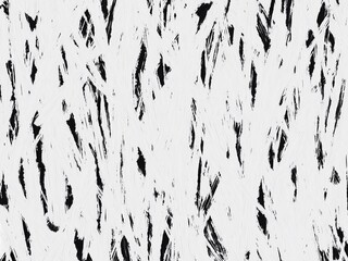 Black and white grunge texture background. Digital art illustration