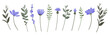 Flower and branch collection. Set of purple flowers, anemones, daisies, lavender and cornflowers isolated on wihite background. Vector illustration.