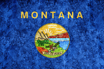 Wall Mural - Metallic Montana state flag, Montana flag background