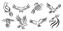 Set Of Eight Line Art Vector Logo Of Eagle. Can Be Used As A Logo Or Decorative Items.