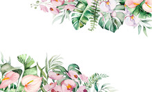 Watercolor Tropical Flowers And Leaves Border Illustration