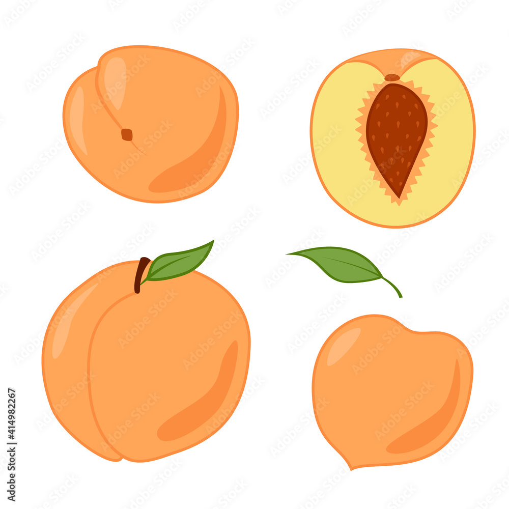 A set of peaches, whole and cut. Colored isolated objects on a white. Cartoon. - obrazy, fototapety, plakaty 