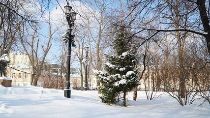 Wall Mural - winter in the park