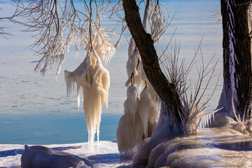 Wall Mural - Ice icicles on tree branches on the shores of Lake Michigan