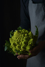 Crop Cook Hands On Apron Holding Bright Juicy Fractal Romanesco Cauliflower With Green Leaves On Dark Background