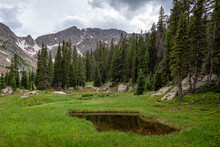 Small Pond In The Eagles Nest Wilderness, Colorado