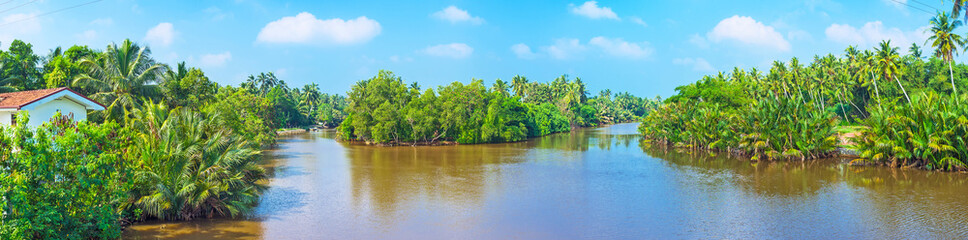 Wall Mural - Panorama of the tropical river and jungle in Sri Lanka