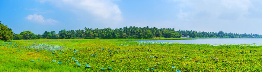 Poster - Panorama of Kaduhiti Lake in Madampe, Sri Lanka