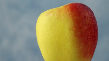 Wall Mural - close up of fresh ripe rotating apple fruit with water drops 