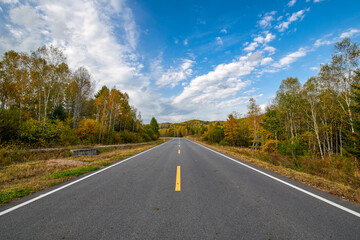 The road on the autumn forests landscape.