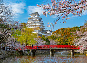 Kyoto Castle in Sakura season