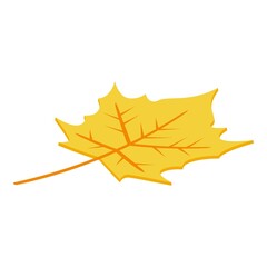 Poster - Autumn leaf icon. Isometric of autumn leaf vector icon for web design isolated on white background